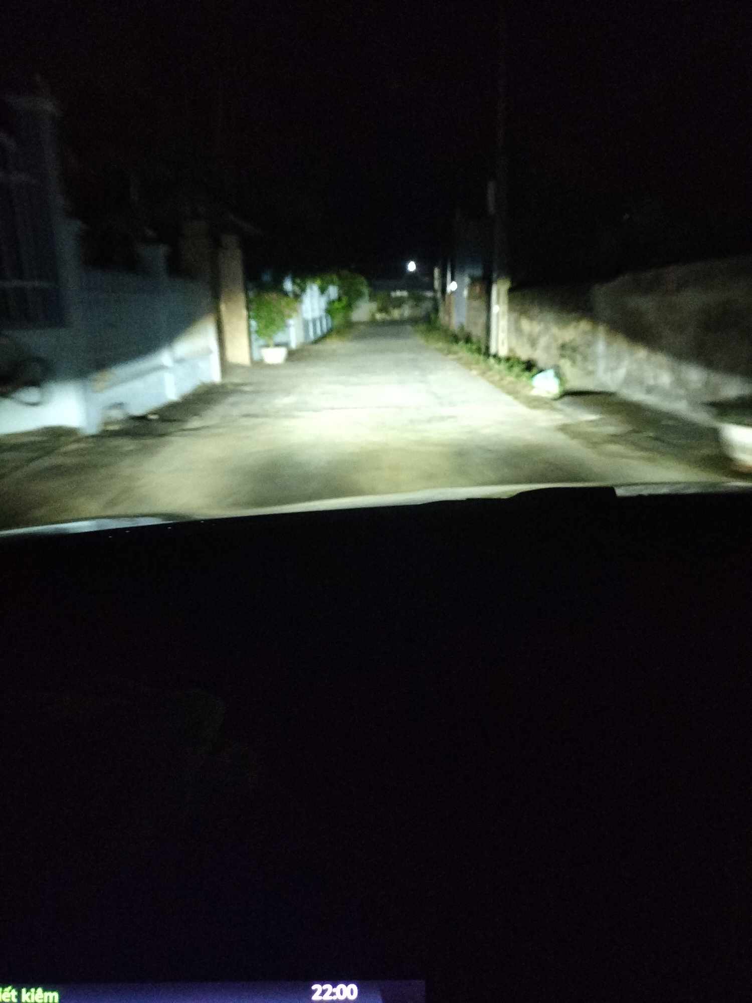 Ảnh 5